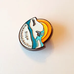 pin hvannadalshnukur island