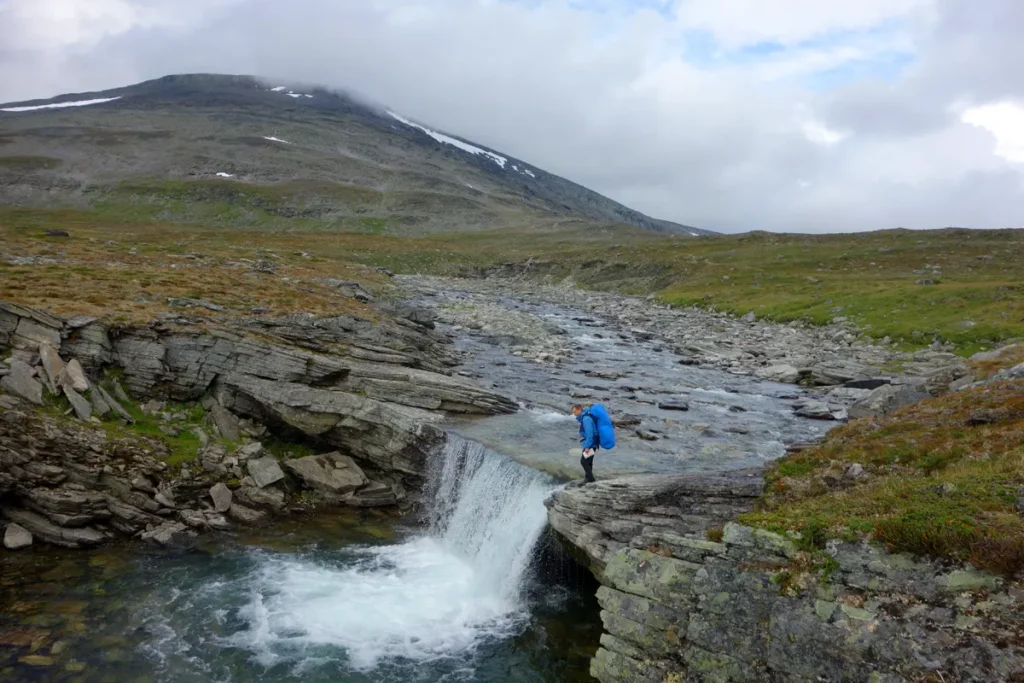 Lemming on the trail